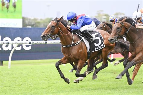 sydney cup field|sydney cup 2023 results.